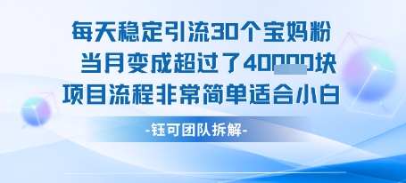 每天稳定引流30个人 当月变成超过了4个W项目流程非常简单适合小白——生财有道创业项目网