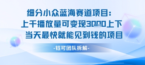 小众蓝海赛道项目：当天变现1k+适合新手操作 +适合长期玩——生财有道创业项目网