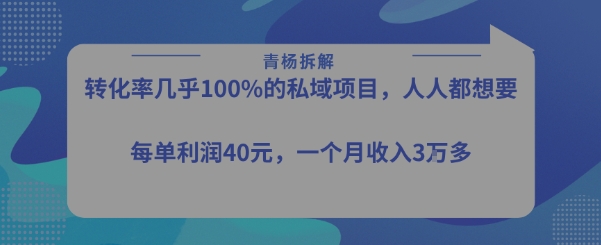 转化率最高的私域项目，每单利润40-50米，月入过1w——生财有道创业项目网