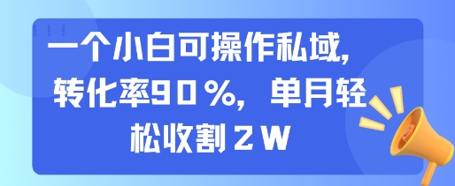 一个小白可操作私域，转化率90%，单月轻松收割2W——生财有道创业项目网