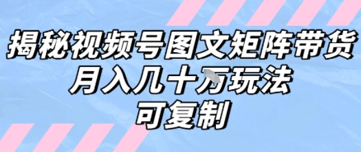 解密视频号图文矩阵带货，月入几个W的打法，可复制——生财有道创业项目网