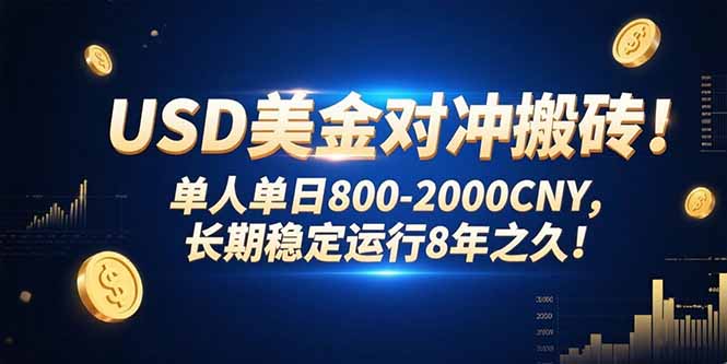 （15551期）USD美金对冲搬砖!单人单日800-2000CNY，长期稳定运行8年之久!_生财有道创业项目网