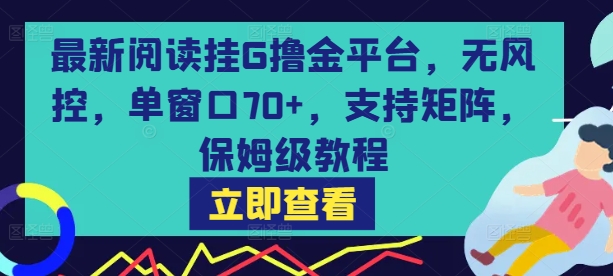 最新阅读挂G撸金平台，无风控，单窗口70+，支持矩阵，保姆级教程【揭秘】——生财有道创业项目网