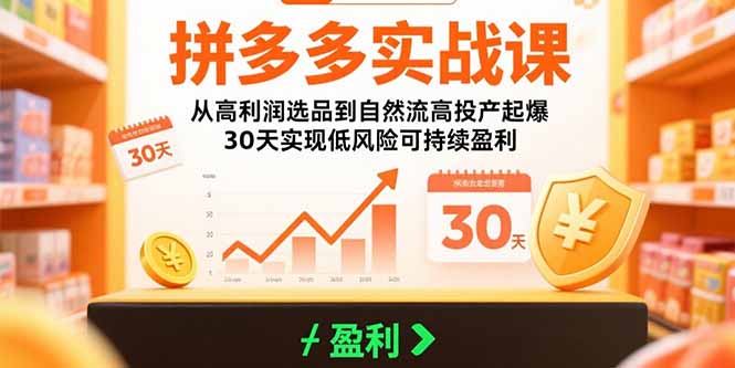 （15586期）拼多多实战课：从高利润选品到自然流高投产起爆 30天实现低风险可持续盈利_生财有道创业项目网