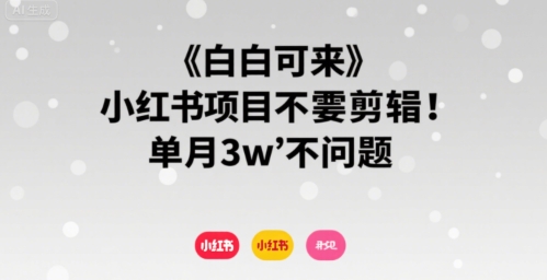 小白可来 小红书项目不需要剪辑 单月3w不是问题——生财有道创业项目网