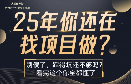 25年，你还在疯狂的找项目吗？别傻了，看完这个你都懂了【揭秘】——生财有道创业项目网