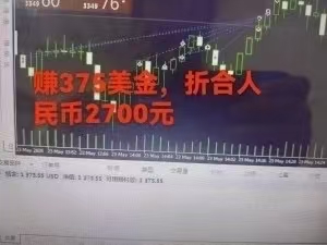 图片[3]-（15632期）稳定8年的美刀搬砖项目，单人每日收益800—3000.团队4人月入10W+.可线下_生财有道创业项目网-生财有道