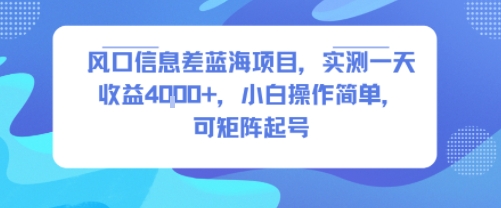 风口信息差蓝海项目，实测一天收益4k+，小白操作简单，可矩阵起号——生财有道创业项目网
