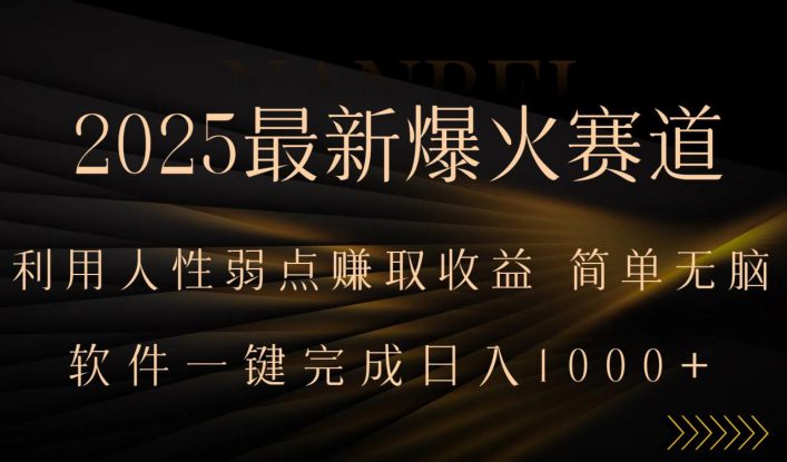 （15675期）2025最新爆火赛道，利用人生弱点赚取收益，全程一键批量制作，小白轻松…_生财有道创业项目网