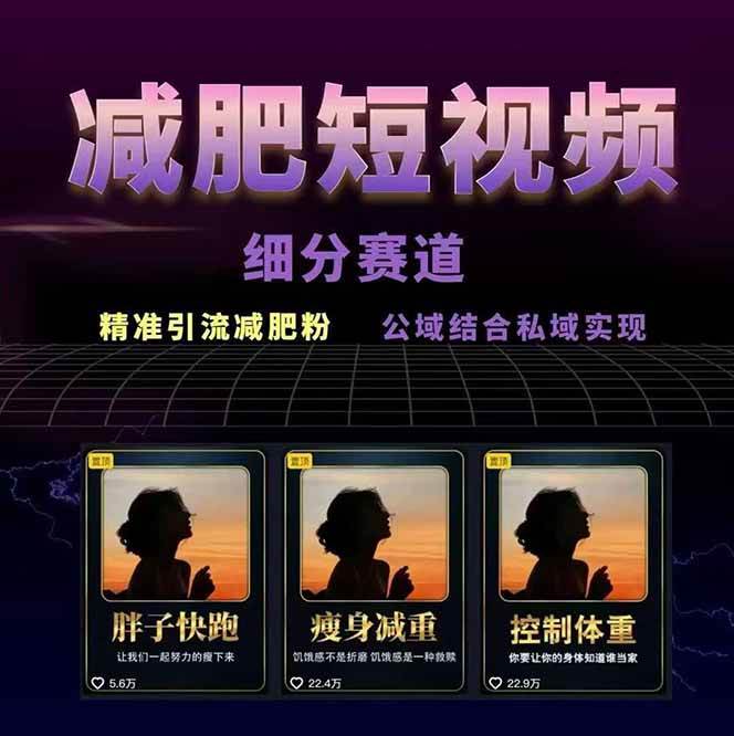 图片[2]-减肥短视频运营实战课：含素材制作、剪映教学，讲精准引流、变现设计与内容模板技巧_生财有道创业网-生财有道