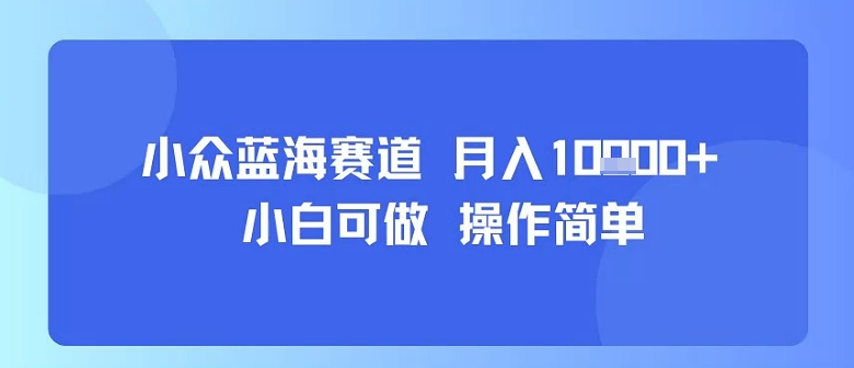 图片[1]-小众蓝海赛道，小白可做，操作简单，每天30分钟，月入1W+——生财有道创业项目网-生财有道