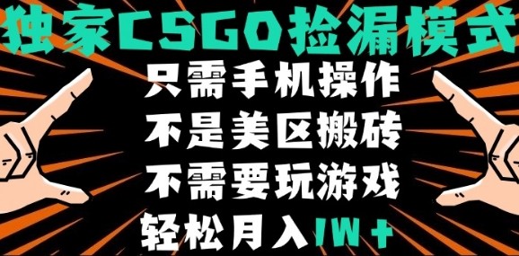 CSGO自动捡漏项目，最新独家玩法，不是美区搬砖，不需要了解和玩游戏，新手小白轻松月入1W+【揭秘】——生财有道创业项目网