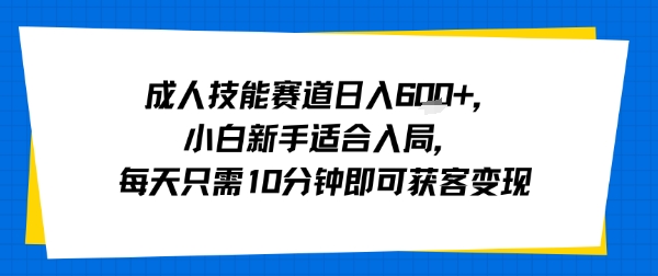 成人技能赛道日入多张，小白新手适合入局，每天只需10分钟即可获客变现——生财有道创业项目网