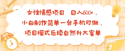 女性情感项目 小白制作简单一台手机可做 项目模式后续自然升大客单 日入6张——生财有道创业项目网