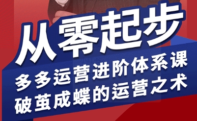 拼多多运营进阶系统课，从零起步，多多运营进阶体系课，破茧成蝶的运营之术——生财有道创业项目网