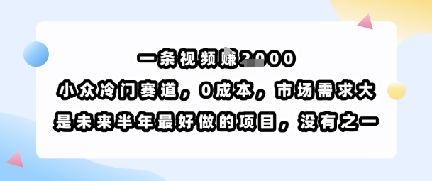 一条视频挣1k，小众冷门赛道，0成本，市场需求大，是未来半年最好做的项目，没有之一——生财有道创业项目网