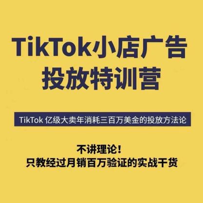 TikTok小店广告投放特训营，6天破局计划专治各种“投不动”，教你经过月销百万验证的实战干货——生财有道创业项目网