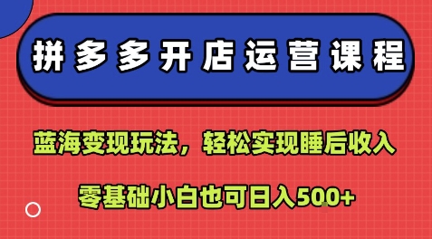 拼多多开店运营课程：蓝海变现玩法，轻松实现睡后收入，零基础小白也可日入5张——生财有道创业项目网