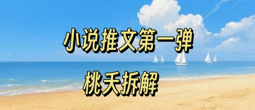 小说推文项目操作全流程第一弹，0粉就能做，门槛低非常适合新手——生财有道创业项目网