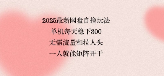 2025最新网盘自撸玩法，单机每天稳下3张，无需流量和拉人头，一个人就可轻松矩阵，全网独一份【揭秘】——生财有道创业项目网