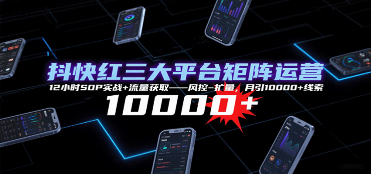 抖快红三大平台矩阵运营，12小时SOP实战+流量获取-风控-扩量，月引10000+线索_生财有道创业网