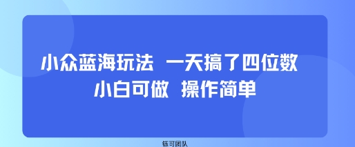小众蓝海玩法 一天搞了四位数 小白可做 操作简单——生财有道创业项目网