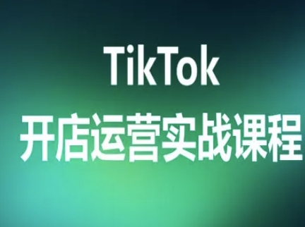 TikTok开店运营实战课程，TK跨境电商实操全流程——生财有道创业项目网