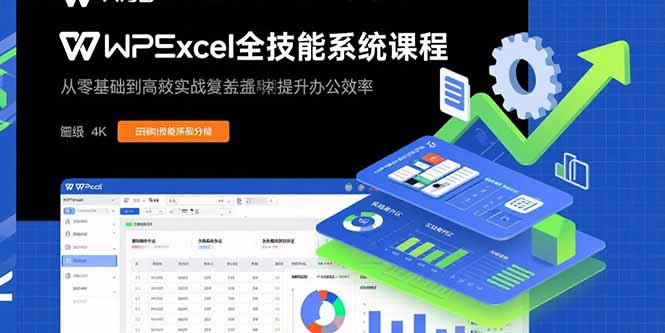 （15873期）WPS Excel全技能系统课程：从零基础到高阶实战全覆盖，全面提升办公效率_生财有道创业项目网