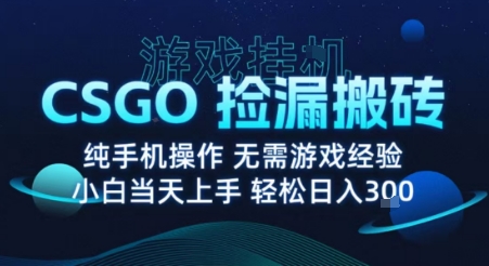 8月最新游戏搬砖，CSGO纯挂G，不需要玩游戏，实现真挂G，月入1W+【揭秘】——生财有道创业项目网