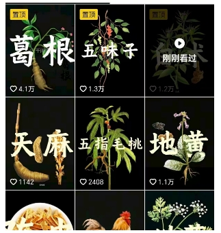 抖音中草药赛道，用AI做中草药故事视频，45条作品涨粉13W，橱窗带货猛猛出单——生财有道创业项目网