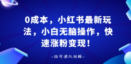 0成本，小红书最新玩法，小白无脑操作，快速涨粉变现——生财有道创业项目网