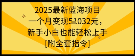 2025最新蓝海项目一个月变现1w+新手小白也能轻松上手【附全套指令】——生财有道创业项目网