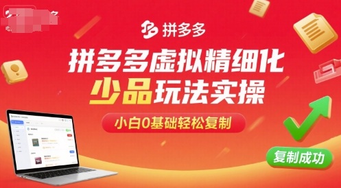拼多多虚拟精细化少品玩法实操，小白0基础轻松复制——生财有道创业项目网