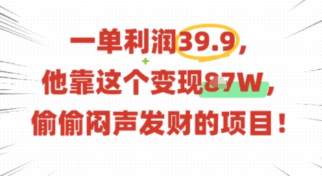 一单利润39.9，有人靠这个变现几十个，偷偷闷声发财的项目——生财有道创业项目网