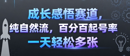 成长感悟赛道，纯自然流，百分百起号率 一天轻松多张——生财有道创业项目网