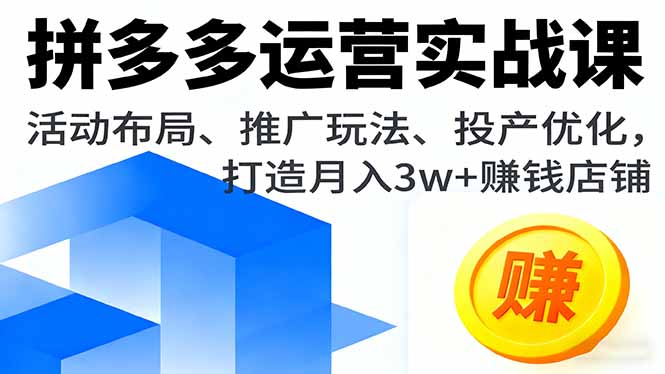 （16135期）拼多多运营实战课，活动布局、推广玩法、投产优化，打造月入3w+赚钱店铺_生财有道创业项目网
