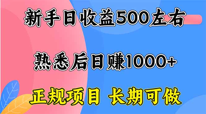 （16132期）新手日收益500+ 正规项目 长期可做_生财有道创业项目网
