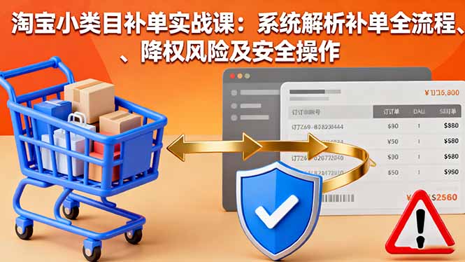 （16239期）淘宝小类目补单实战课：系统解析补单全流程、降权风险及安全操作_生财有道创业项目网