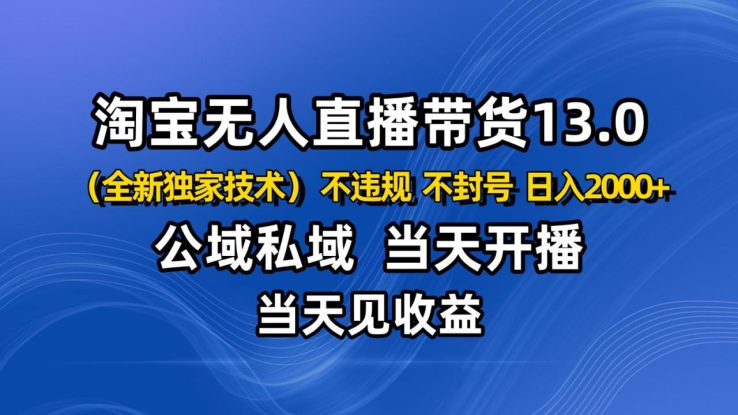 淘宝无人直播13.0，公域私域技术，不封号，不违规 布局下半年旺季赛道，日入2000+_生财有道创业网