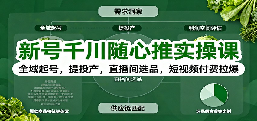 图片[1]-新号千川随心推实操课：全域起号，提投产，直播间选品，短视频付费拉爆_生财有道创业网-生财有道