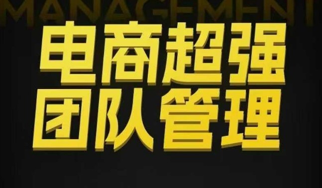 电商超强团队管理，组织绩效，到用人执行，分权合伙——生财有道创业项目网