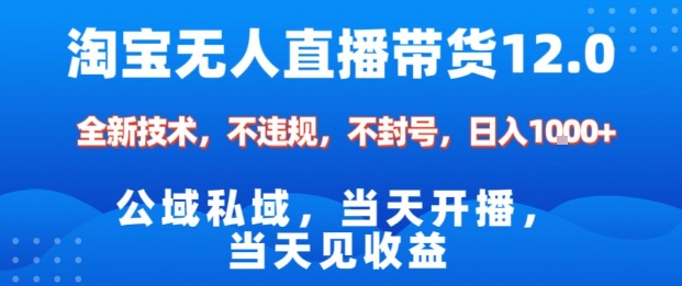 淘宝无人直播12.0，公域私域技术，不封号，不违规布局双十一流量风口，日入1k（独家技术）【揭秘】——生财有道创业项目网