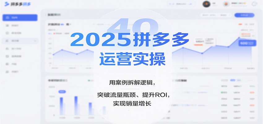 图片[1]-2025拼多多运营实操，用案例拆解逻辑，突破流量瓶颈、提升ROI，实现销量增长_生财有道创业网-生财有道