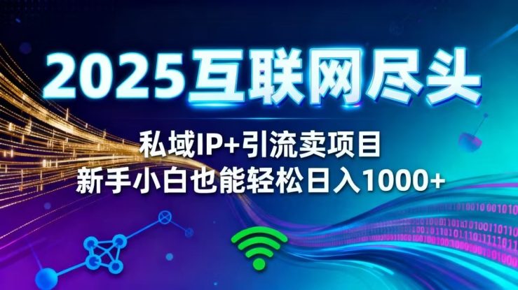 （16485期）2025网创尽头王炸项目！私域 IP + 精准引流，新手小白在家躺赚日入 1000+_生财有道创业项目网