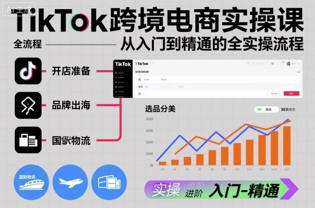 TikTok跨境电商实操课，从入门到精通的全实操流程——生财有道创业项目网