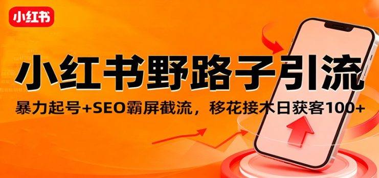 小红书野路子引流，暴力起号+SEO霸屏截流，移花接木日获客100+_生财有道创业网
