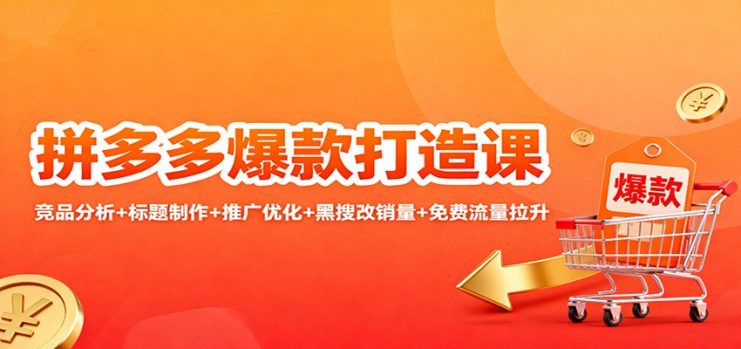 拼多多爆款打造课：竞品分析+标题制作+推广优化+黑搜改销量+免费流量拉升_生财有道创业网