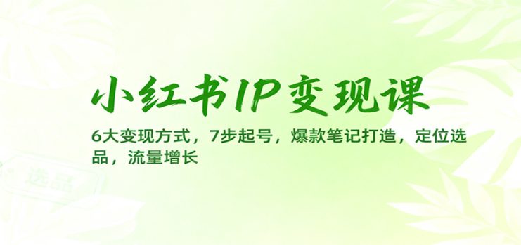 小红书IP变现课：6大变现方式，7步起号，爆款笔记打造，定位选品，流量增长_生财有道创业网