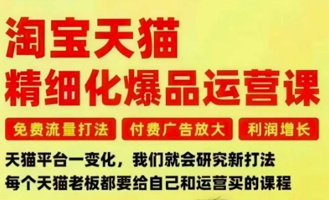 淘宝天猫精细化爆品运营课，免费流量打法-付费广告放大-利润增长-三大核心痛点，一次全部解决——生财有道创业项目网