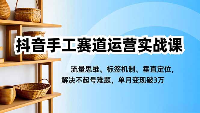 （16667期）抖音手工赛道运营实战课，流量思维、标签机制、垂直定位，解决不起号难题，单月变现破3万_生财有道创业项目网